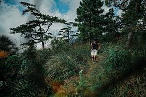 BIB: 
                            <button type="button" onclick="openModal(25258064)" class="btn btn-primary btn-sm float-right btn-popup" data-toggle="modal" data-target=".modal-high-quality">
                        <i class="fas fa-shopping-cart"></i> Add to Cart
                    </button>
                                            <button type="button" onclick="isThisMe(25258064, true)" class="btn btn-success btn-sm float-right btn-popup btn-isme hidden" data-toggle="tooltip" data-placement="bottom" title="นี่คือรูปของคุณใช่ไหม คลิกที่นี่เพื่อเอาเข้าอัลบั้ม">
                        <i class="fas fa-plus"></i> Add to album
                    </button>
                    <button type="button" onclick="isThisMe(25258064, false)" class="btn btn-warning btn-sm float-right btn-popup btn-isnotme hidden">
                        <i class="fas fa-ban"></i> Remove from album
                    </button>